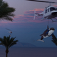 Illustration for article titled Powerful Protest: An Anti-Animal Activist Group Just Snuck 3 Orcas Into SeaWorld